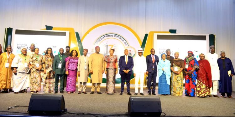 Nigeria’s US$50 billion FDI push and industrial policy at 17th NCITI in Enugu, an assessment