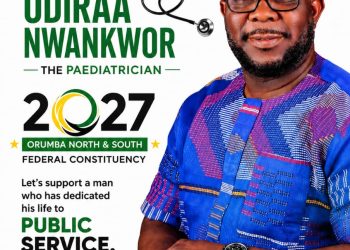 A Look at Nwankwor’s Political Promises: Can service record translate to legislative impact?