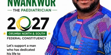 A Look at Nwankwor’s Political Promises: Can service record translate to legislative impact?