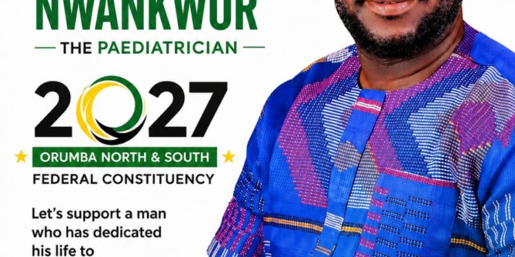 A Look at Nwankwor’s Political Promises: Can service record translate to legislative impact?