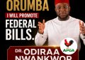 Odiraa Nwankwor and the test of delivering the best ndi Orumba truly deserve