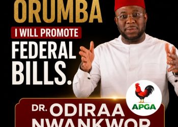 Odiraa Nwankwor and the test of delivering the best ndi Orumba truly deserve