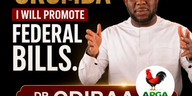 Odiraa Nwankwor and the test of delivering the best ndi Orumba truly deserve
