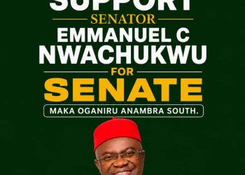 Representation is a sacred responsibility, says Nwachukwu, pledges purposeful service