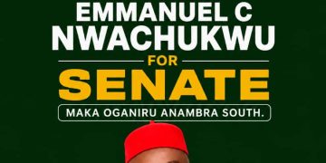 Representation is a sacred responsibility, says Nwachukwu, pledges purposeful service