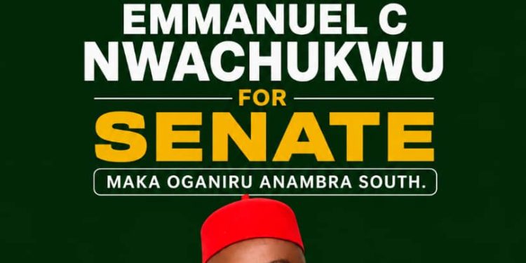 Representation is a sacred responsibility, says Nwachukwu, pledges purposeful service