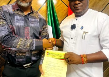 Okenwa Ogbunka 2027: How Chibuike Echem and his team plan to reboot representation for Orumba North and South
