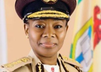 Passport intervention team heads to UK as NIS moves to clear backlog, serve diaspora 