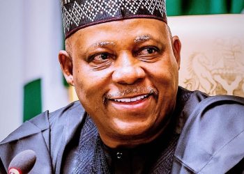 Northern Senators celebrate Shettima at 60, hails his journey of service