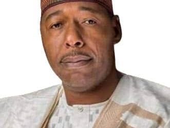 CSO berates activist, Wala for allegedly spreading falsehood against Gov Zulum