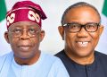 The Benue South Formula: How NDC members trading Peter Obi for Tinubu and endorsing Sen. Moro exposes Akume’s 2027 master plan