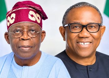 The Benue South Formula: How NDC members trading Peter Obi for Tinubu and endorsing Sen. Moro exposes Akume’s 2027 master plan