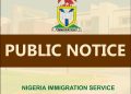Diaspora Passport Rush: NIS enrols 8,552 Nigerians in US, Canada, Qatar, UK