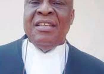 Tinubu is a master of political game but Nigerians are suffering — Nzelu