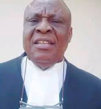 Tinubu is a master of political game but Nigerians are suffering — Nzelu