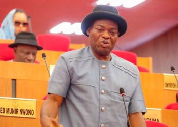 A critical look at Sen Nwoye’s motion to rescue the Ogbaru–Ndoni Highway